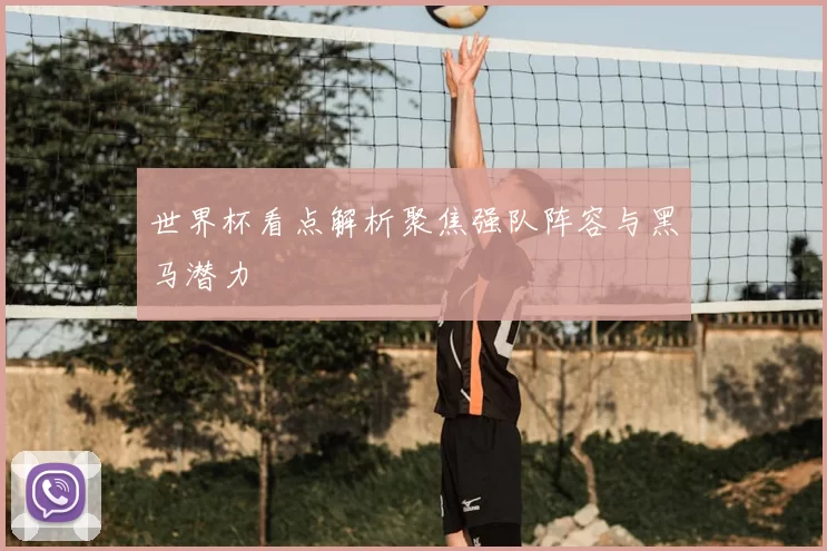 世界杯看点解析聚焦强队阵容与黑马潜力