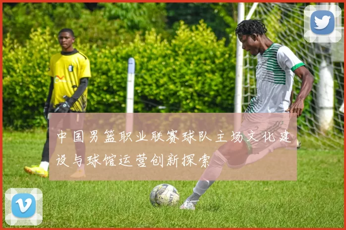 中国男篮职业联赛球队主场文化建设与球馆运营创新探索