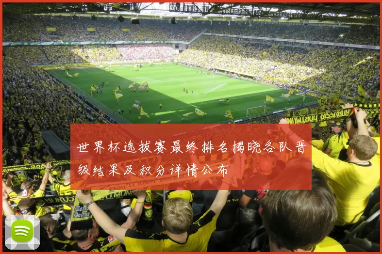 世界杯选拔赛最终排名揭晓各队晋级结果及积分详情公布