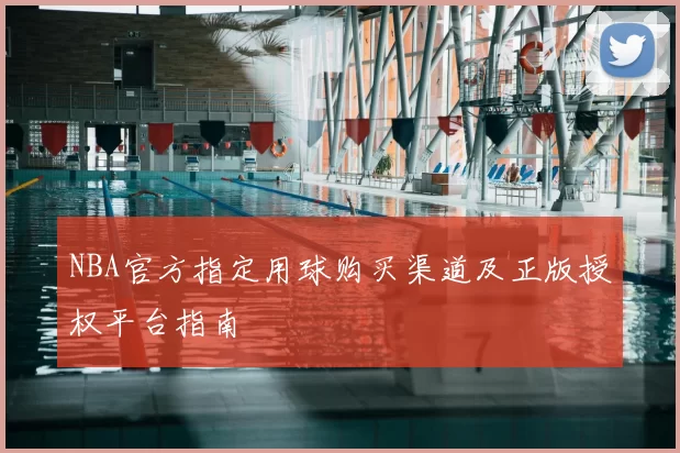 NBA官方指定用球购买渠道及正版授权平台指南