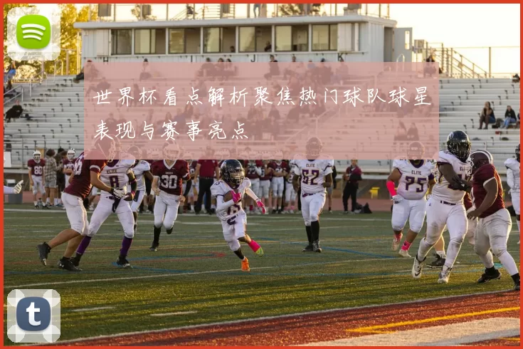 世界杯看点解析聚焦热门球队球星表现与赛事亮点